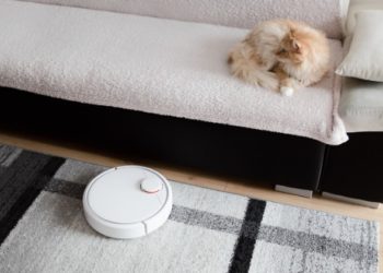 Comment trouver le meilleur traitement contre les puces pour votre maison