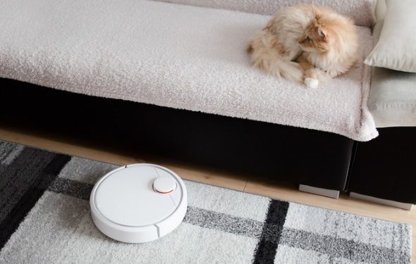 Comment trouver le meilleur traitement contre les puces pour votre maison