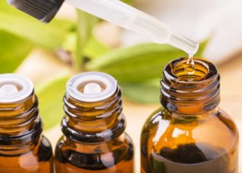 Est-il sûr d’utiliser des huiles essentielles contre les puces et les tiques sur les animaux domestiques?