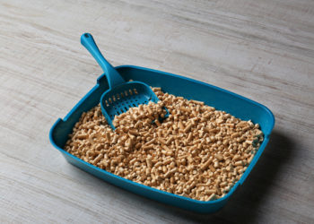 Existe-t-il des options d’élimination des litières pour chats respectueuses de l’environnement?