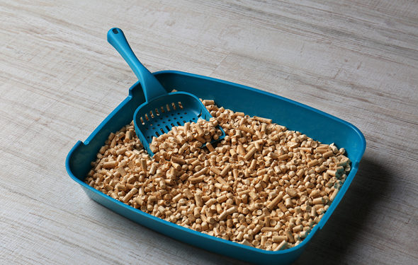 Existe-t-il des options d’élimination des litières pour chats respectueuses de l’environnement?