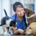 FAQ sur la vaccination des chiens et des chats