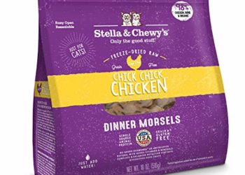 La meilleure nourriture pour chats riche en fibres à acheter en mai 2020