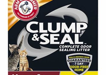 Les meilleures litières agglomérantes à acheter en mai 2020