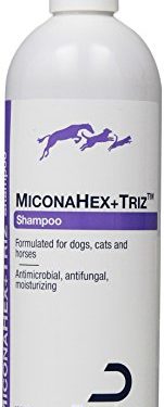 Meilleur shampoing pour chat en mai 2020