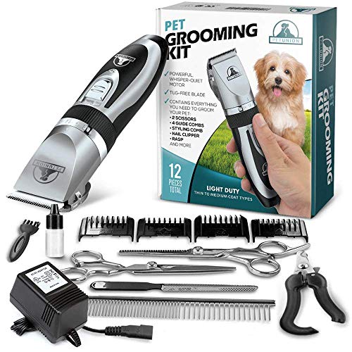 Pet Union Professional Dog Grooming Kit - Rechargeable, sans fil...