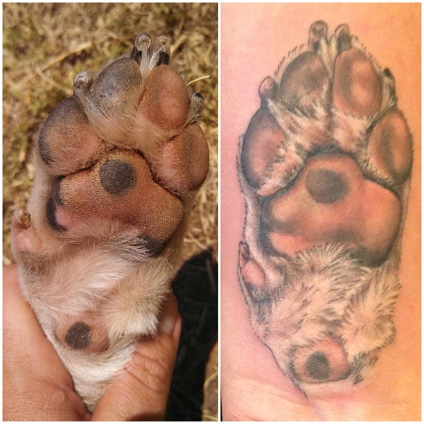 tatouage d'un chien