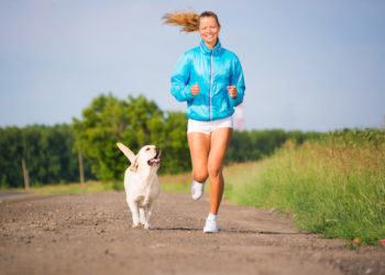 6 exercices que vous pouvez faire avec votre chien
