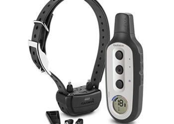 Le meilleur collier de dressage de chiens pour juin 2020