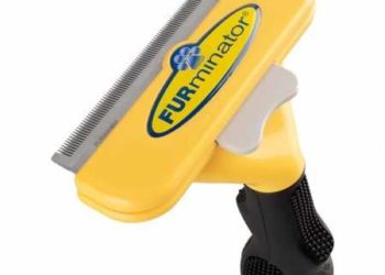 Le meilleur pinceau pour le berger allemand à acheter en juin 2020