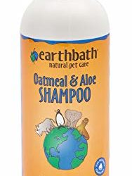 Le meilleur shampoing pour chiens à acheter en juin 2020 pour les peaux sensibles