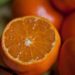 Les chats peuvent-ils manger des oranges ?