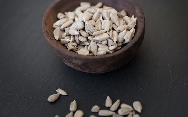 Les chiens peuvent-ils manger des graines de tournesol ? Les graines de tournesol sont-elles bonnes pour les chiens ?