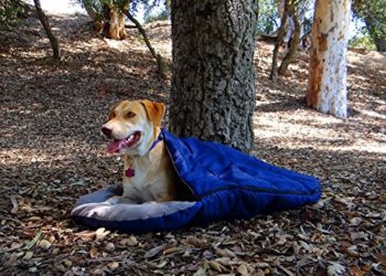 Les meilleurs sacs de couchage pour chiens – Un guide sur les sacs de couchage pour chiens en juin 2020