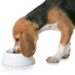 Taux de contamination choquants dans les aliments crus pour animaux de compagnie: Partie 1