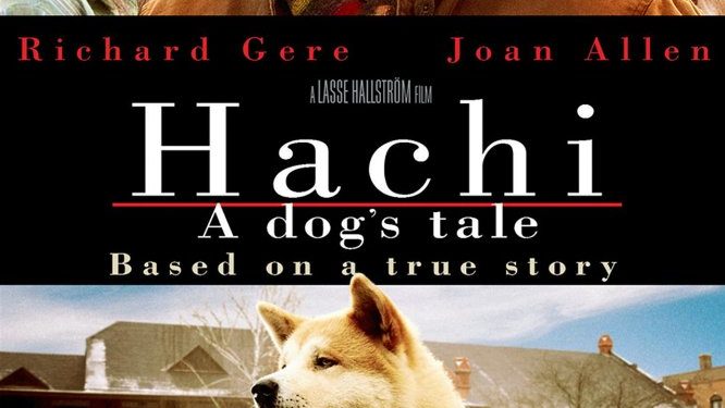 Top 10 des films sur les chiens