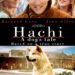 Top 10 des films sur les chiens