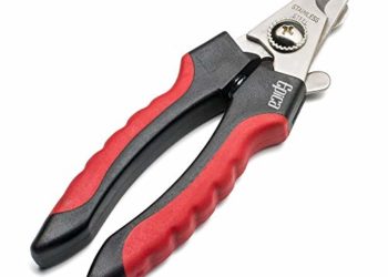 Votre guide ultime pour trouver les meilleurs tondeurs à chiens en juin 2020