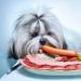 Définition des aliments hypoallergéniques pour chiens – Aliments pour chiens allergiques