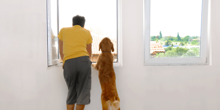 Le dresseur de chiens: Comment divertir votre chien lorsqu’il est trop humide pour sortir :: Conseils rapides et sales