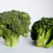 Les chats peuvent-ils manger du brocoli – Conseils pour la fourrure