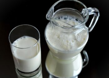 Les chiens peuvent-ils boire du lait ? Le lait est-il bon ou mauvais pour les chiens ?