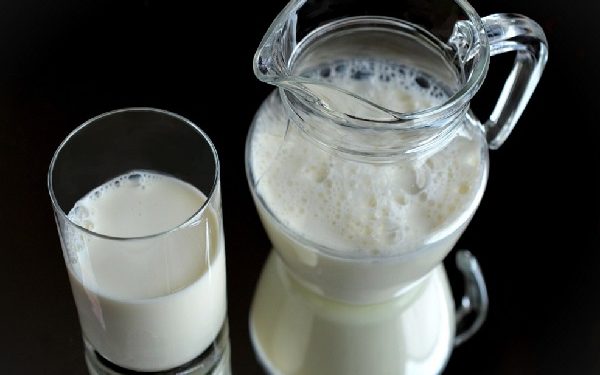 Les chiens peuvent-ils boire du lait ? Le lait est-il bon ou mauvais pour les chiens ?