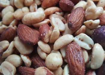 Les chiens peuvent-ils manger des noix ? Les noix sont-elles bonnes ou mauvaises pour les chiens ?