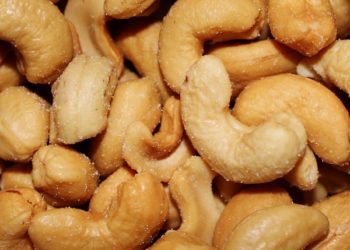 Les chiens peuvent-ils manger des noix de cajou ? Les noix de cajou sont-elles bonnes ou mauvaises pour les chiens ?
