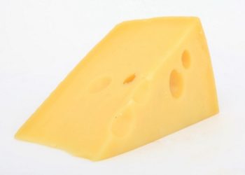 Les chiens peuvent-ils manger du fromage ? Le fromage est-il bon ou mauvais pour les chiens ?