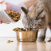 Making Sense of Diet Foods for Cats and Dogs, Part 2