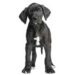 Qu’est-ce que la nourriture pour chiots de grande race – Nourriture pour chiots pour chiens de grande race