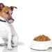 6 idées de friandises saines pour les chiens