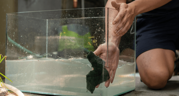Comment nettoyer facilement un bocal à poisson ou un aquarium