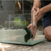 Comment nettoyer facilement un bocal à poisson ou un aquarium