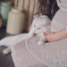 Problèmes de toxoplasmose |  Précautions pour les femmes enceintes |  Litière pour chats