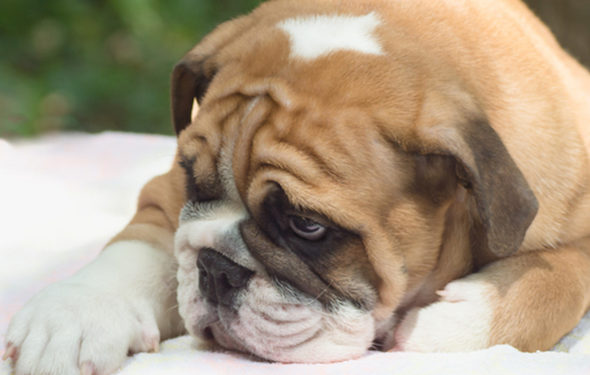 7 causes médicales derrière la prise de poids