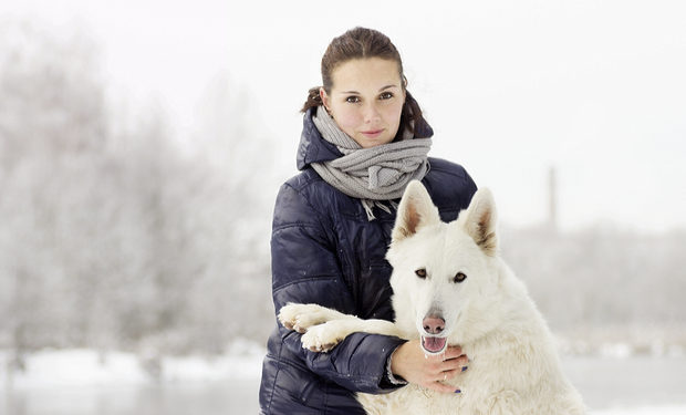 7 façons dont le temps froid peut affecter votre chien