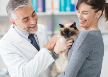 7 raisons de remercier votre vétérinaire