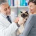 7 raisons de remercier votre vétérinaire