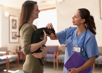 8 choses que les gens ne réalisent pas à propos du statut de vétérinaire