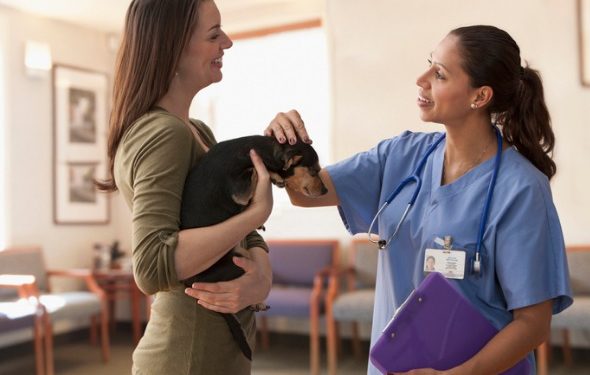 8 choses que les gens ne réalisent pas à propos du statut de vétérinaire