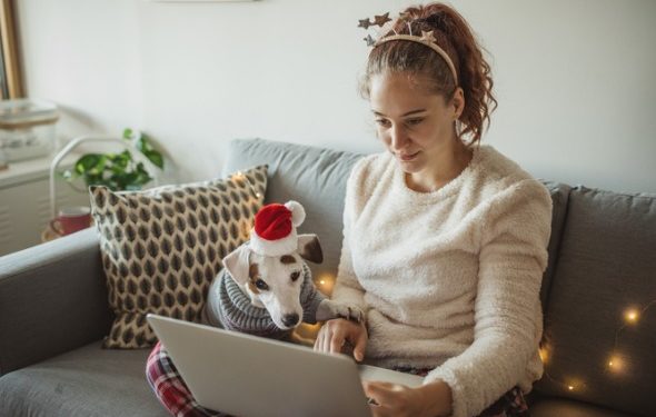 9 meilleures offres du Black Friday sur la nutrition des chiens