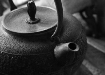 9 remèdes maison pour traiter la peau sèche du chien, les allergies et plus |  Animauxinfo