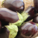 Les chiens peuvent-ils manger des aubergines et des feuilles?  L’aubergine est-elle mauvaise pour les chiens?
