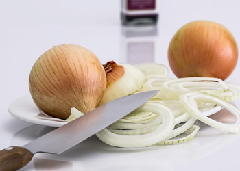 Les chiens peuvent-ils manger des oignons ou sont-ils mauvais pour les chiens?