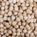 Les chiens peuvent-ils manger des pois chiches ou du houmous?  Les pois chiches sont-ils bons pour les chiens?