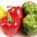 Les chiens peuvent-ils manger des poivrons: verts, rouges ou jaunes?