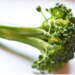Les chiens peuvent-ils manger du brocoli?  Le brocoli est-il bon ou mauvais pour les chiens?