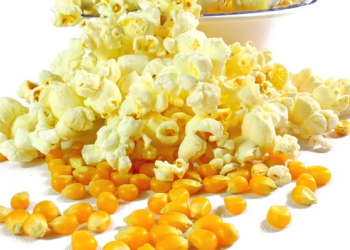 Les chiens peuvent-ils manger du maïs soufflé?  Le maïs soufflé est-il bon ou mauvais pour les chiens?